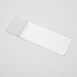 Frosted Microscope Slide - Globe Scientific - 1324