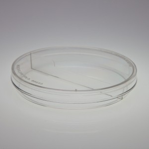 Sterile 2 Section Petri Dish 100 x 15 mm - Medical Action Industries, Inc. - PD1931-500S