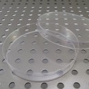 Sterile Beveled-Stacker Petri Dish 100 x 15 mm - Medical Action Industries, Inc. - PD5712-500S